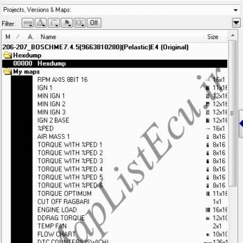 مپ لیست ایسیو BOSCH ME7.4.5(9663810280)(Pelastic)E4