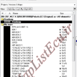 مپ لیست ایسیو BOSCH ME7.4.5(9663810080)(Pelastic)E3