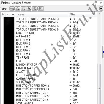 206_BOSCH ME7.4.4 TU5(9645733380)(Cruise+Limiter)