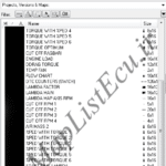 مپ لیست ایسیو BOSCH ME7.4.5(9663810280)(Pelastic)E4