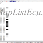 مپ لیست حرفه‌ای WinOLS ایسیو Bosch ME7.4.4 – کد فنی 9650116680