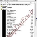 مپ لیست وینولز Petrol TU3 CGE CBM E4(IK00389380-A) پژو 206