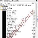 مپ لیست وینولز Petrol TU5 CGE CBM E4(IK00501080-A) پژو 206