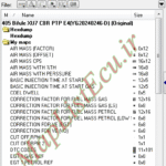 مپ لیست وینولز Bifuel XU7 CBR PTP E4(YG20240246-D) پژو 405
