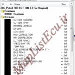 مپ لیست وینولز Petrol TU3 CGT CIM E4 Fix پژو 206