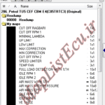 مپ لیست وینولز Petrol TU5 CEF CBM E4(C05TRTC3) پژو 206