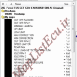 مپ لیست وینولز Petrol TU5 CEF CBM E4(IK00501080-A) پژو 206