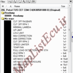 مپ لیست وینولز Petrol TU5 CEF CBM E4(IK00501080-B) پژو 206