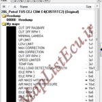 مپ لیست وینولز Petrol TU5 CEJ CBM E4(C05TRTC2) پژو 206