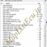 مپ لیست وینولز Bifuel XU7 CBR PTP E4(YG20240246-D) پژو 405