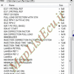 مپ لیست وینولز Petrol TU5 (CEF-CEJ) PTP E4(YG20240238-B) پژو ۴۰۵